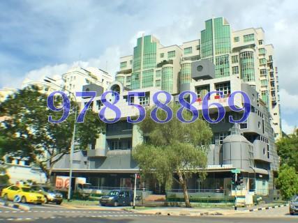 Crystal Court (D10), Apartment #161647042